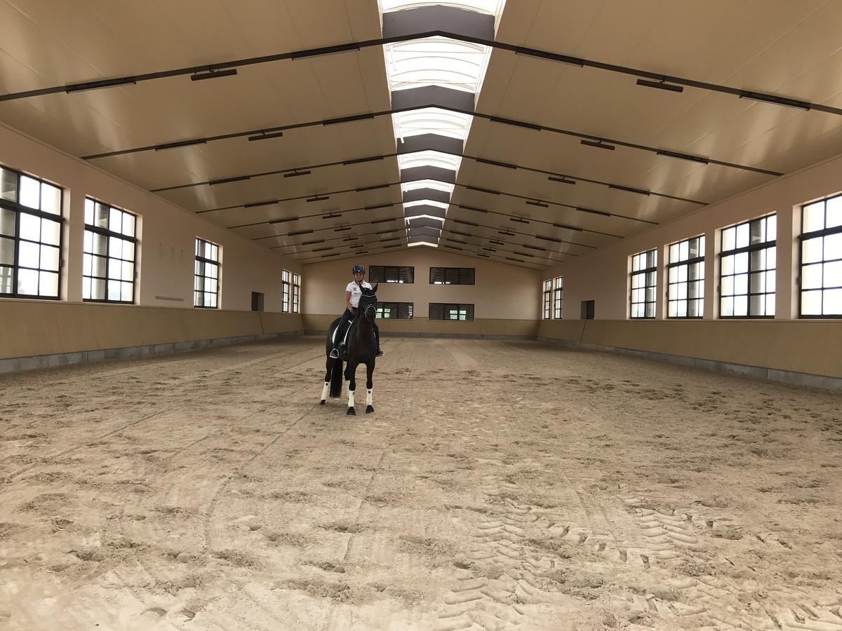 Vmg Horse Ranch (Adults Only) Villa Llucmajor  Dış mekan fotoğraf