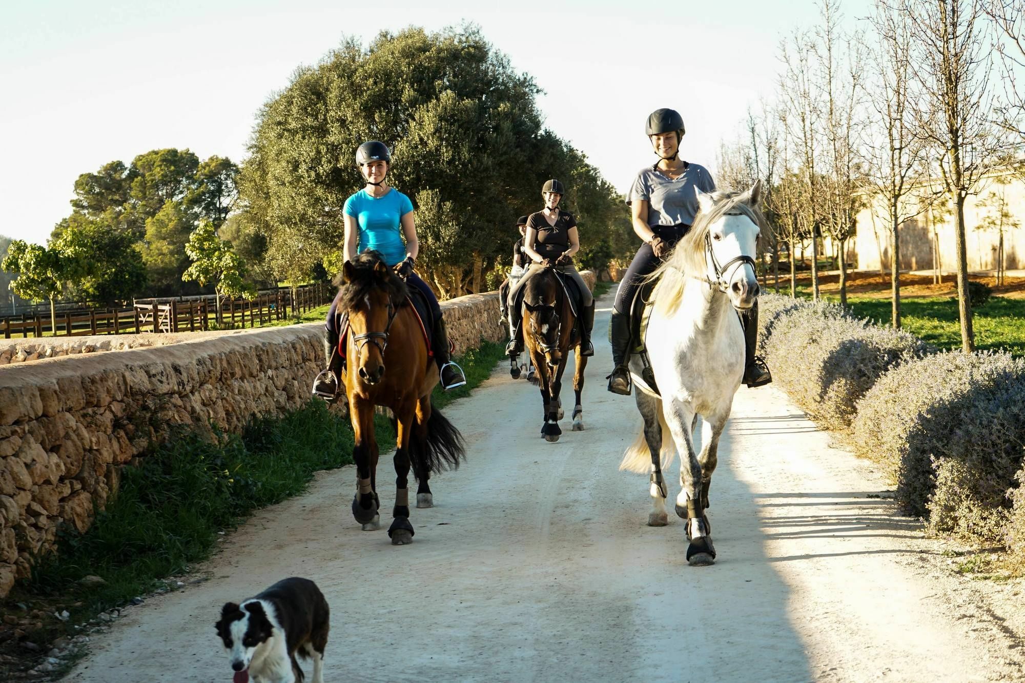 Vmg Horse Ranch (Adults Only) Villa Llucmajor  Dış mekan fotoğraf