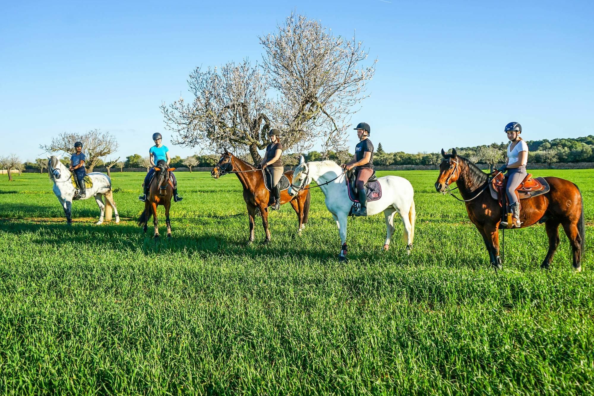 Vmg Horse Ranch (Adults Only) Villa Llucmajor  Dış mekan fotoğraf