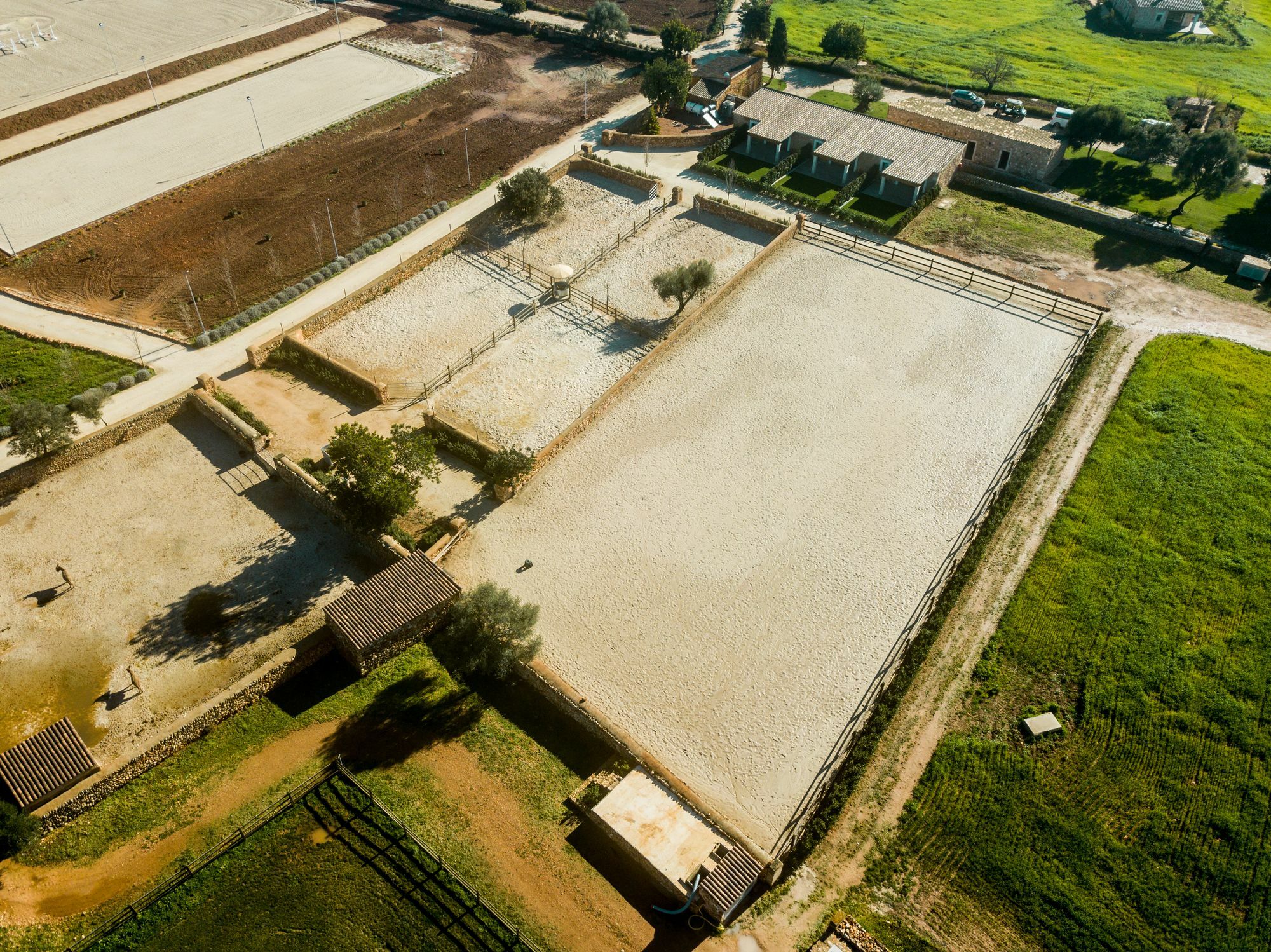 Vmg Horse Ranch (Adults Only) Villa Llucmajor  Dış mekan fotoğraf